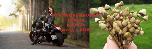 эйфоретик Армянск