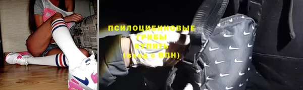 МДПВ Алексин