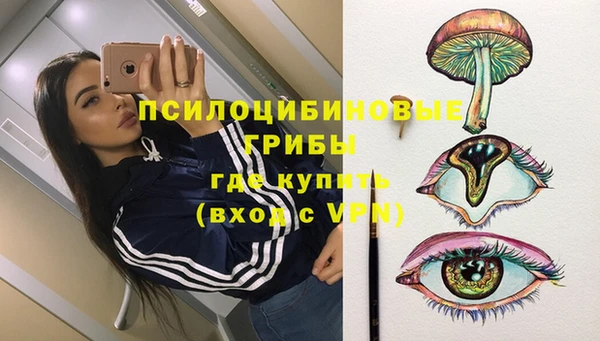 МДПВ Алексин