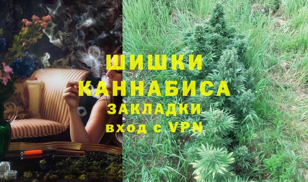 спайс Арсеньев