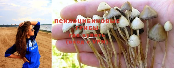 МДПВ Алексин